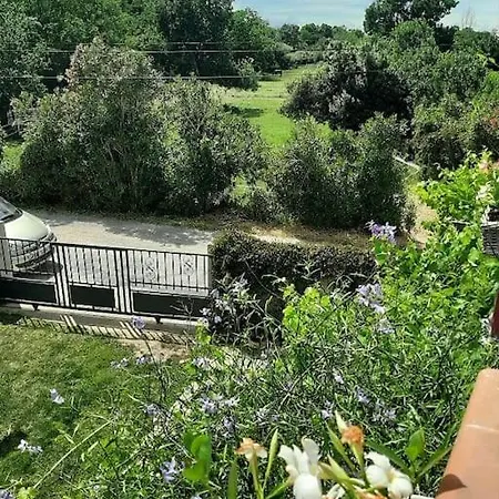Coin De Paradis Maison Climatisee Piscine Chauffee Location Samedi Au Samedi En Aout Only Saturday To Saturday In August * Perpignano